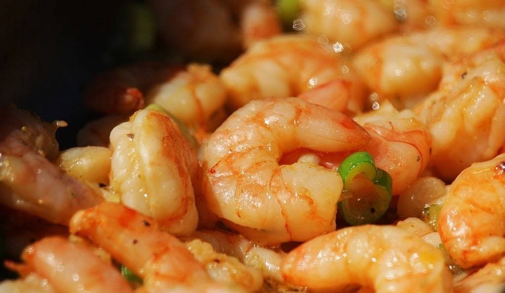 Techniques de pêche durable pour les crevettes